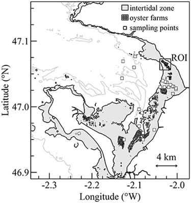 Shellfish Aquaculture from Space: Potential of Sentinel2 to Monitor Tide-Driven Changes in Turbidity, Chlorophyll Concentration and Oyster Physiological Response at the Scale of an Oyster Farm